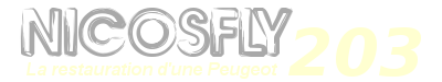 logo NicosFly